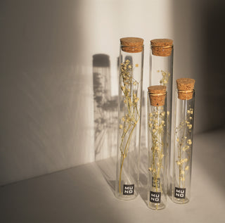 Dried Flower Tubes - Baby's Breath