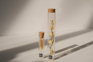 Dried Flower Tubes - Larkspur