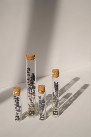 Dried Flower Tubes - English Lavender