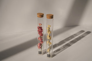 Dried Flower Tubes - Larkspur