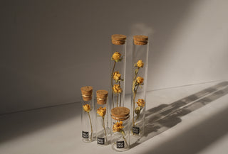 Dried Flower Tubes - Rose